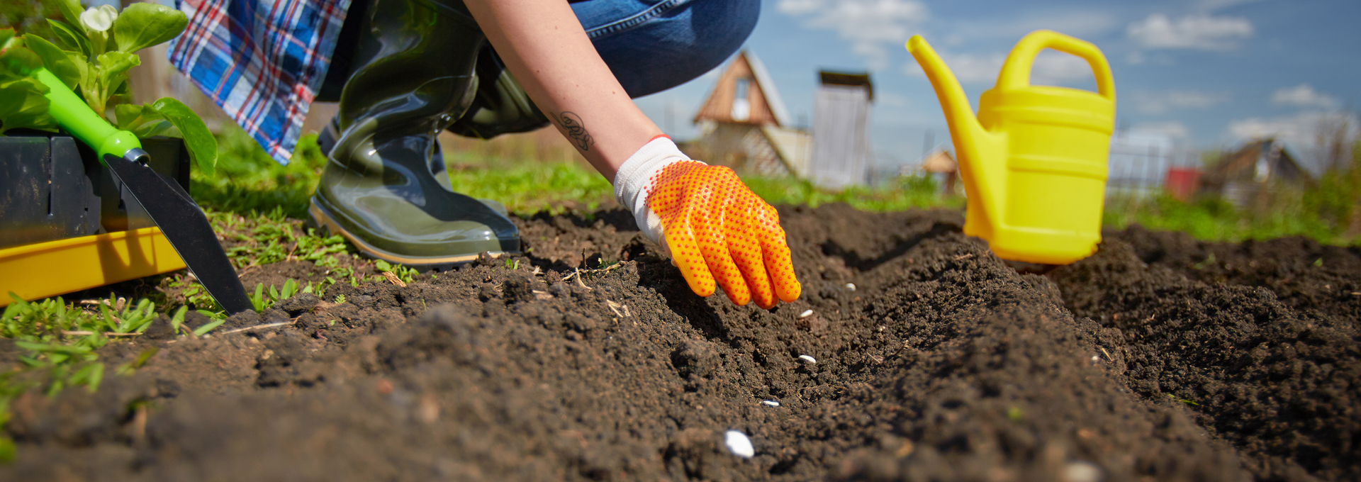 Saatgut für Ihren Garten